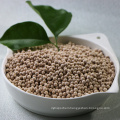 Wholesale Zeolite Bead Molecular Sieve 4a 3a Molecular Sieve of Industrial Chemical Molecular Sieve Filter